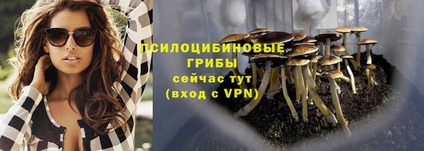 Альфа ПВП Баксан
