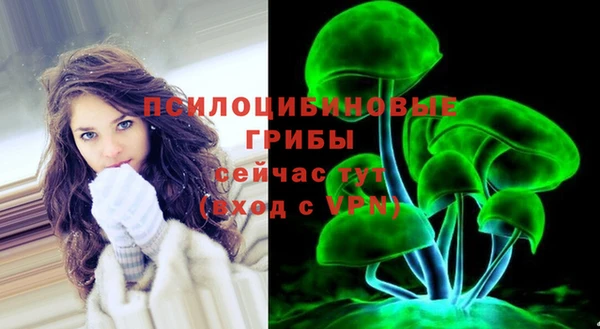 молекула духа Балахна